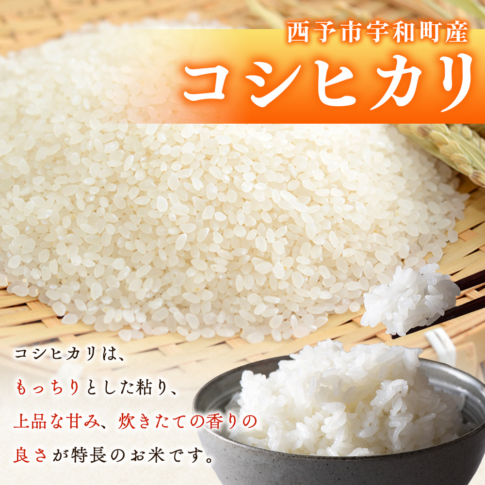 ＜コシヒカリ 約5kg＞ 5キロ こしひかり 米 お米 コメ こめ 白米 精米 ご飯 ライス もっちり 穀物 お弁当 おにぎり 特産品 愛媛県産 西予市産 宇和町産 ファームNINOMIYA 愛媛県 西予市