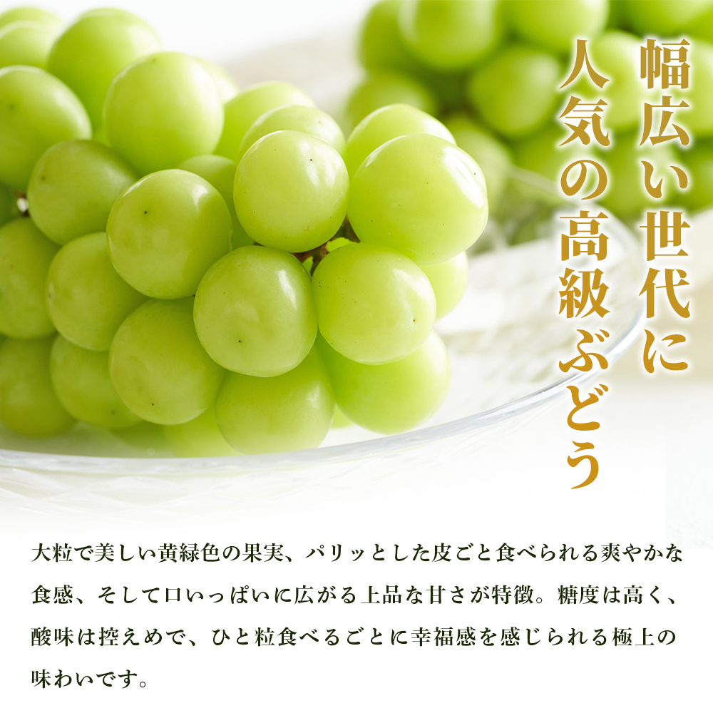 ＜シャインマスカット 約2kg＞ 果物 くだもの フルーツ ぶどう 葡萄 ブドウ シャインマスカット しゃいんますかっと 4～5房 大粒 糖度 極上 種なし 甘い 皮ごと 特産品 ファームNINOMIYA 愛媛県 西予市