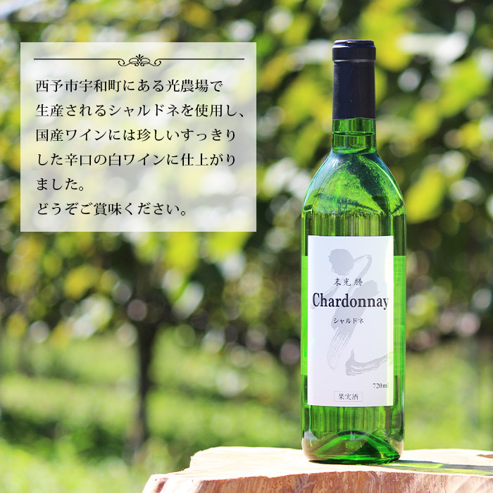 光ワイン（「白」2本セット） 「白」2本セット（寄附額26,000円）