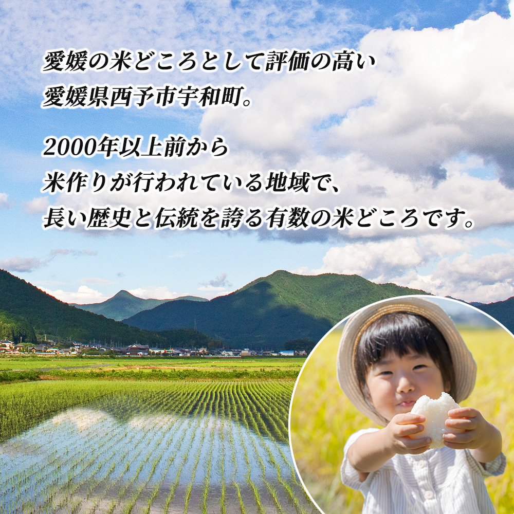 【KAZUファーム】 コシヒカリ 5㎏