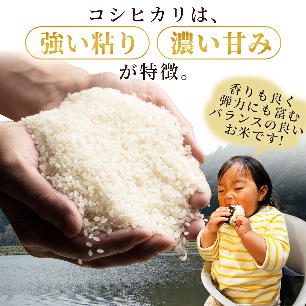 ＜令和7年産 コシヒカリ「つるの寝どこまい」約5kg 西予市宇和町産＞ 2025年産 こしひかり お米 コメ こめ 白米 精米 ご飯 ごはん 穀物 ライス SDGs 共生 楠 健明 愛媛県 西予市
