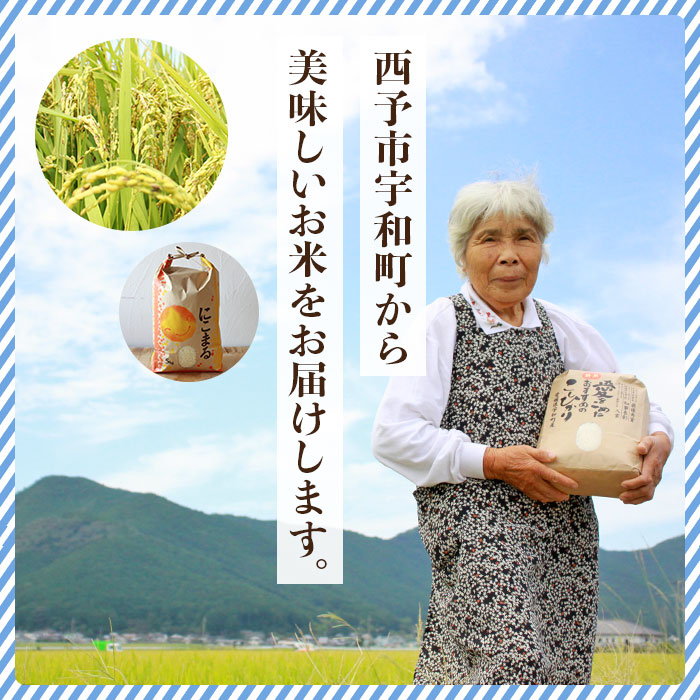 ＜令和7年産 西予市宇和町米 にこまる 約10kg（5kg×2袋）＞ お米 コメ 白米 ご飯 晩稲 大粒 特産品 三好フク 愛媛県 西予市