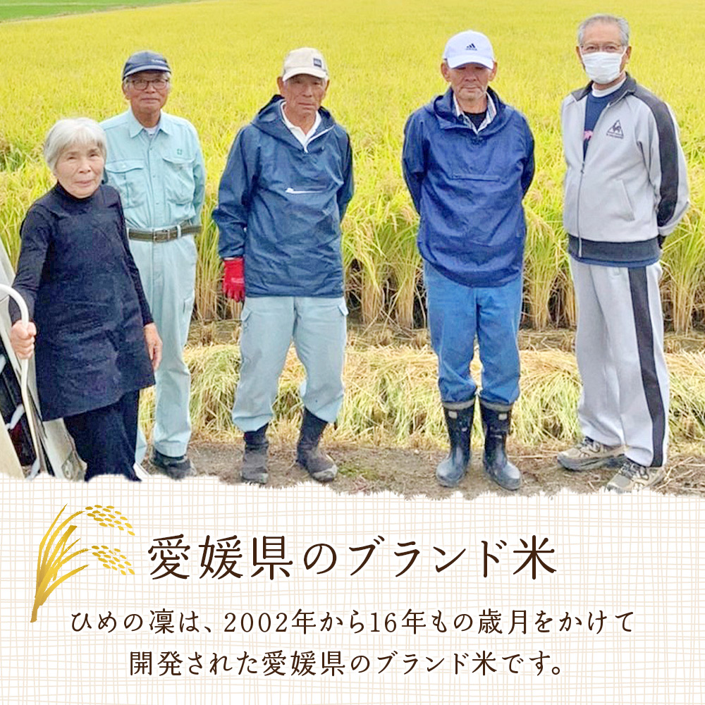 ＜愛媛県推進米 ひめの凜 約5kg＞ お米 コメ こめ 白米 精米 ご飯 ライス 穀物 ひめのりん ヒメノリン ブランド米 大粒 ツヤツヤ 特産品 愛媛県産 西予市産 宇和町産 三好フク 愛媛県 西予市