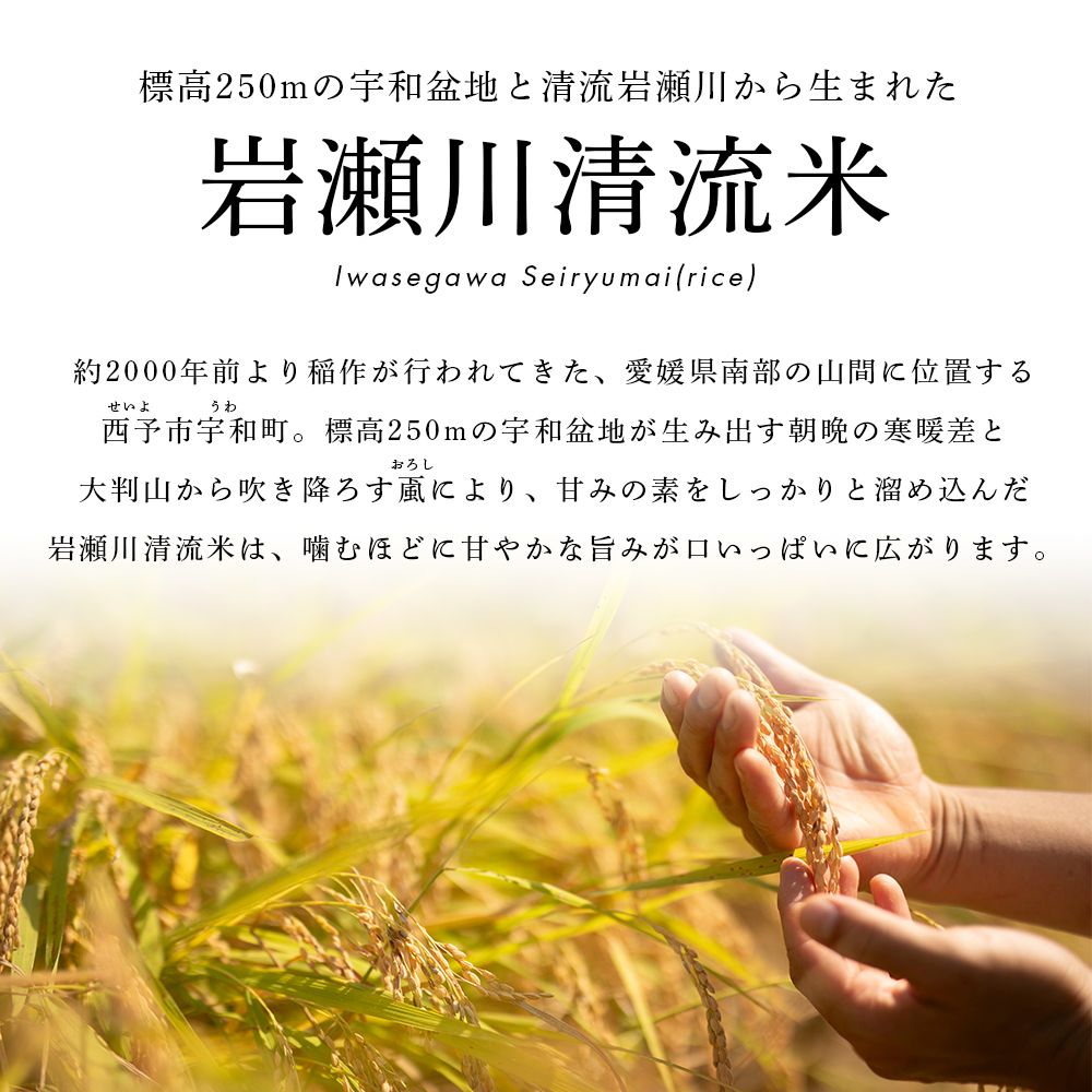 ＜令和7年産 新米 コシヒカリ 岩瀬川清流米 5kg＞ 5キロ こしひかり お米 コメ こめ 白米 精米 ご飯 穀物 鮮度 特産品 愛媛県産 西予市産 宇和町産 OTSUKAFARM 愛媛県 西予市