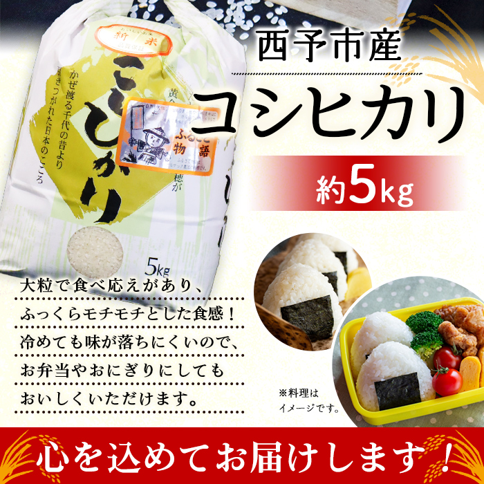 ＜令和6年産 大竹農園 コシヒカリ 約5kg＞ こしひかり コメ 白米 精米 ご飯 新鮮 旨味 大粒 ふっくら もちもち モチモチ お弁当 朝ごはん お昼ごはん 夜ごはん 特産品 愛媛県 西予市