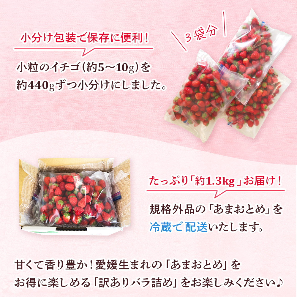 ＜訳あり いちご あまおとめ 約1.3kg 小粒 加工用 冷蔵 規格外品＞ 国産 サイズ 小粒 詰め合わせ アマオトメ 訳あり 訳アリ フルーツ 果物 苺 いちご イチゴ シャーベット スムージー りの果樹園 愛媛県 西予市