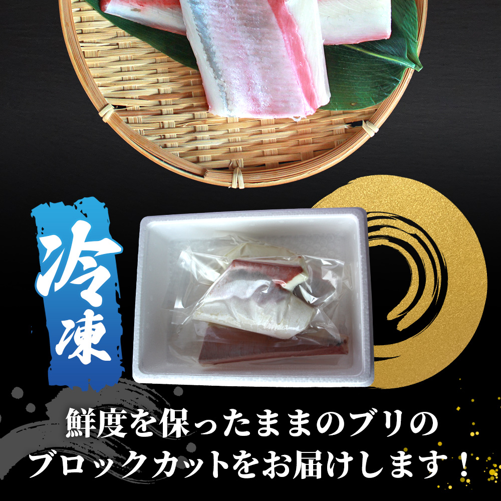 ＜訳あり 超冷薫加工 ブリ ブロックカット 約600g＞ わけあり ワケアリ 家庭用 超冷薫 新鮮 ブリ刺身 ぶりしゃぶ 魚介類 水産物 海鮮 海産物 国産 刺身 ぶり丼 ご飯のお供 贅沢 血抜き 株式会社SakuSaku 愛媛県 西予市