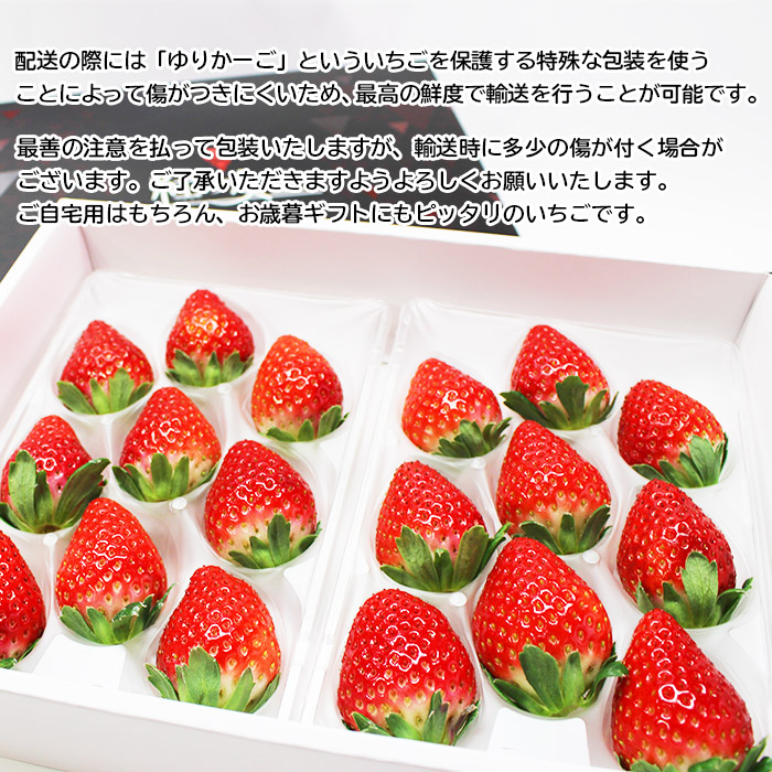 ＜いちご 至高の紅い雫 500g(250g×2パック)＞ 果物 苺 イチゴ フルーツ 愛媛県 西予市