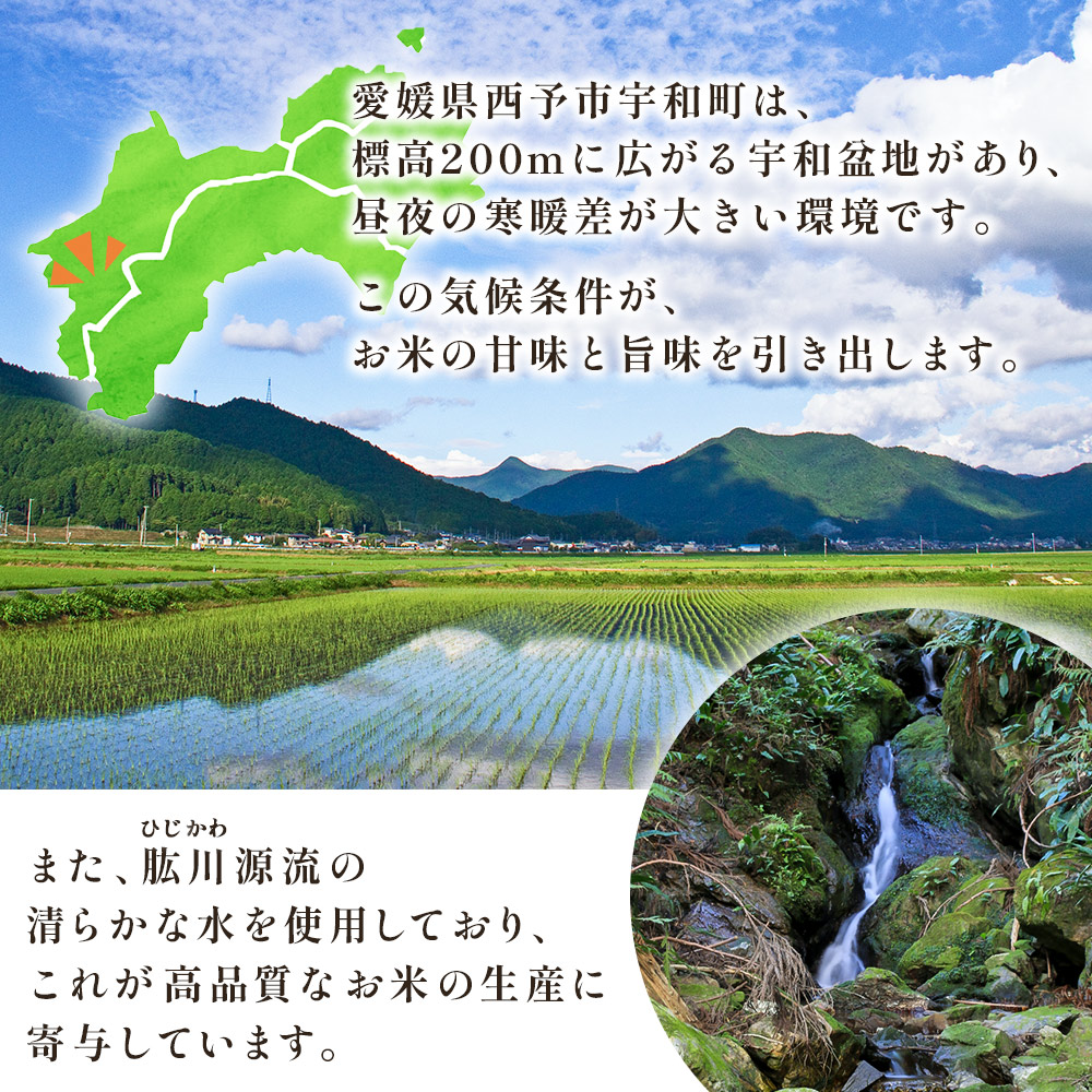＜令和7年産 愛媛県西予市産 コシヒカリ 田んぼダム米 5kg＞ 5キロ こしひかり 西予応援米 宇和米 お米 コメ こめ 白米 精米 米 国産 愛媛県産 宇和町産 和みファーム 愛媛県 西予市