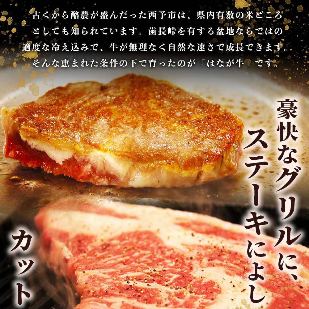＜熟成肉 はなが牛リブロースブロック約800g（800g×1個）＞ 牛肉 ステーキ 鉄板焼き 焼き肉 国産 塊肉 かたまり 霜降り しもふり バーベキュー BBQ キャンプ アウトドア 特産品 ゆうぼく 愛媛県 西予市