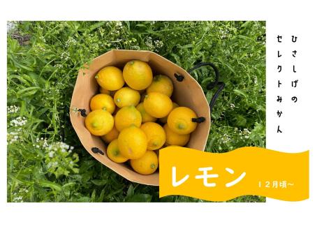 ひさしげ農園　西宇和産セレクトみかんセット