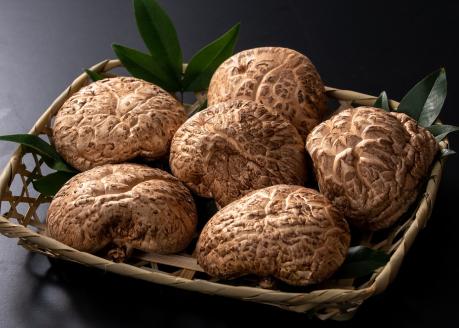 ブランド原木椎茸「霧源（MUGEN）」乾燥約150g（5～8枚）化粧箱入り