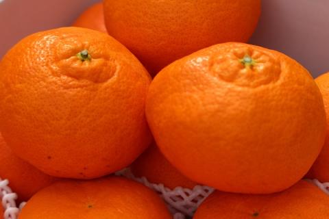 甘平　４kg（数量限定）