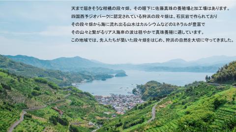 明浜産真珠ネックレス「つなぐ」