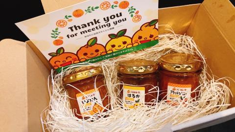 天晴マーマレード３種セット（伊予柑・はるか・ブラッドオレンジ）