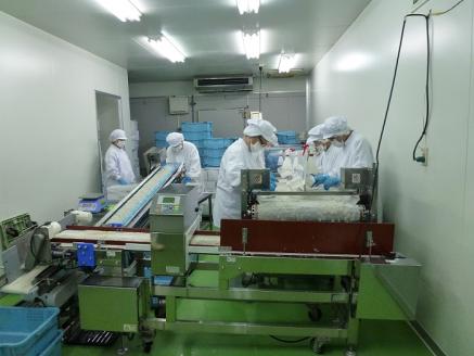 老舗網元　濵田屋セレクト釜あげしらす・ちりめんセット（小）