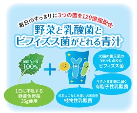 野菜と乳酸菌とビフィズス菌がとれる青汁