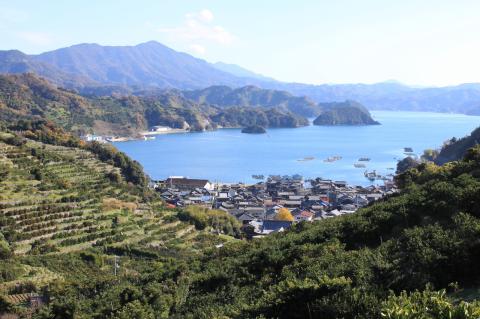 明浜産真珠イヤリング8.0㎜