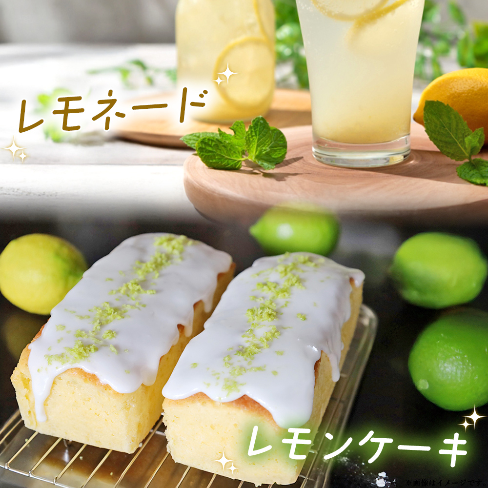 ＜天晴レモン ご家庭用 約1.5kg＞ フルーツ 果物 くだもの レモン れもん 檸檬 柑橘 訳あり わけあり ワケアリ 自宅用 料理 国産 国産レモン 愛媛県産 特産品 株式会社笑丸 愛媛県 西予市