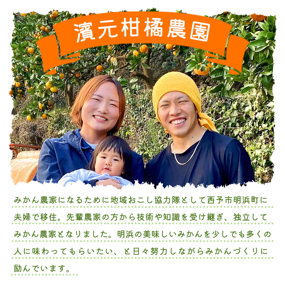 温州みかん 約5kg 贈答用