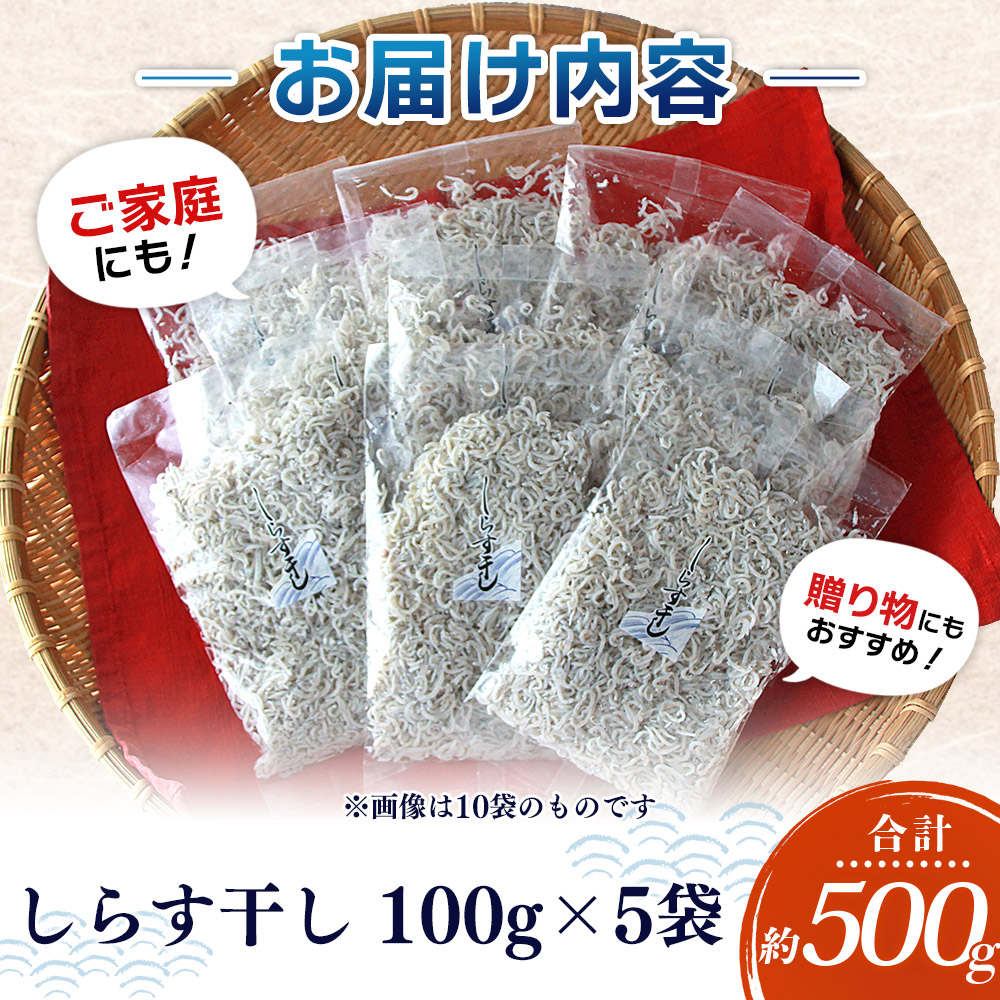 ＜漁師さん自慢のしらす干し 合計500g（100g×5パック）＞ シラス 魚介類 さかな 海産物 海鮮 海の幸 小分け 国産 ご飯のお供 丼 おつまみ 晩酌 おかず おやつ 特産品 産地直送 濵田水産 愛媛県 西予市 500g(100g×5パック)（寄附額6,000円）