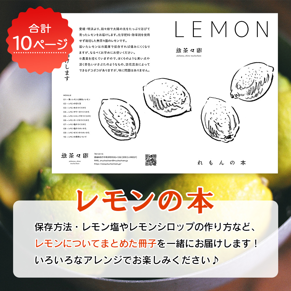 ＜無茶々園のレモン 約3kg＋レモンの本＞ フルーツ 果物 くだもの れもん 檸檬 柑橘 愛媛県 西予市