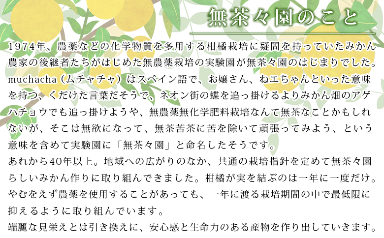 ＜無茶々園の甘夏ジュース 720ml 6本＞『1か月以内に順次出荷予定』柑橘 果物 オレンジ フルーツ ストレート 果汁100% 甘夏 あまなつ アマナツ 丸ごと 酸味 濃厚 飲んで応援 特産品 無茶々園 愛媛県 西予市 【常温】