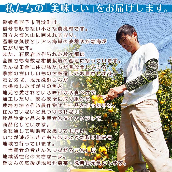 ＜黄金柑ジュース 720ｍ×2本セット＞ 果汁100％ ストレート ジュース 柑橘 ミカン みかん オレンジ 果物 フルーツ ギフト 贈り物 特産品 愛媛県 西予市