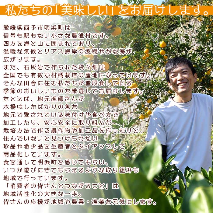 ＜旬をお届け！季節の柑橘 2回定期便（温州みかん約3kg・ポンカン約3kg）＞ミカン ぽんかん 蜜柑 果物 フルーツ 2種類 食べ比べ 手軽 特産品 二ノ宮商事 国産 愛媛県 西予市