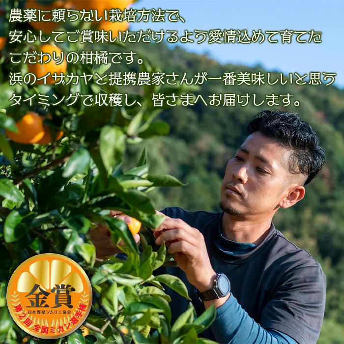 ＜旬をお届け！温州みかん 約5kg＞ 数量限定 ミカン 蜜柑 果物 柑橘類 果実 オレンジ フルーツ 早生 20号 手軽 特産品 国産 明浜産 二ノ宮商事株式会社 愛媛県 西予市