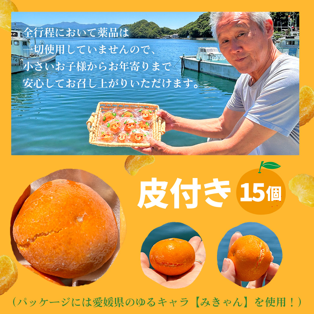 ＜【訳あり】冷凍みきゃんセット みきゃん盛り（皮付き15個）＞ ミカン 温州みかん 柑橘 果物 フルーツ デザート 詰合せ 愛媛県 西予市