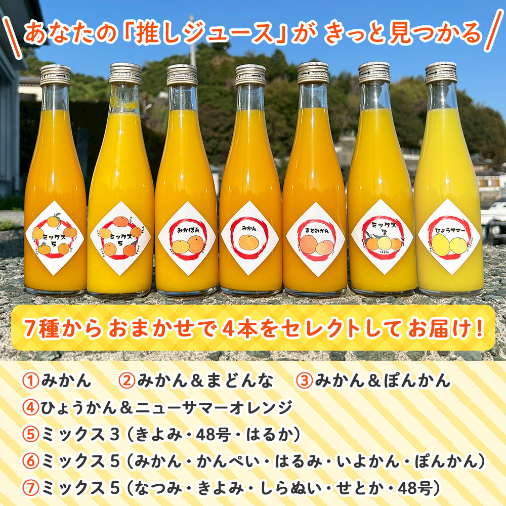 一歩会 ジュエリーボックス ジュース飲み比べセット ミニ 300ml×4本
