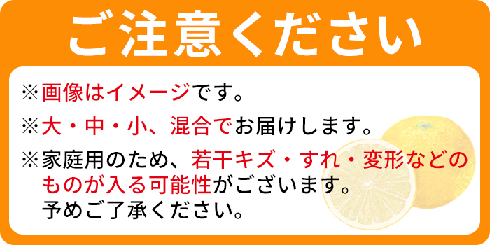 ＜でん助農園の温州みかん 南柑20号 約10kg（家庭用）＞ 果物 フルーツ ミカン オレンジ 柑橘 中生 自宅用 産地直送 西宇和産 愛媛県 西予市