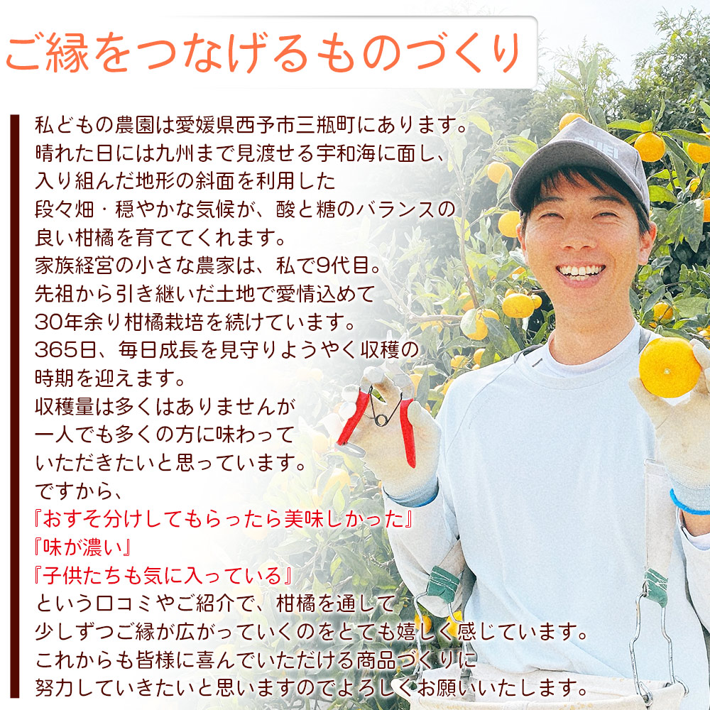 ＜ひさしげ農園直送 西宇和産 温州みかん 約5kg＞ 早生 温州みかん 温州ミカン 果物 くだもの みかん ミカン 柑橘 フルーツ 柑橘 果実 国産 5キロ 愛媛県産 特産品 ひさしげ農園 愛媛県 西予市