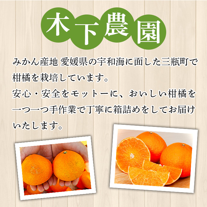 紅まどんなと同品種！＜木下さんちのまどんな 約5kg 家庭用＞ 柑橘 みかん ミカン 果物 くだもの フルーツ 不揃い 自宅用 愛媛果試第28号 マドンナ 西宇和 愛媛県 西予市 約5kg（寄附額25,000円）