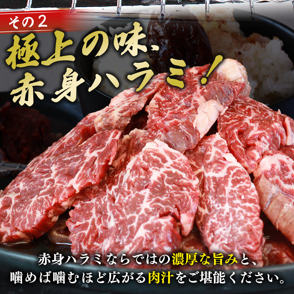 ＜秘伝の特製タレ仕込み！やわらか赤身ハラミ 約1kg（500g×2）＞ タレ漬け 柑橘 訳あり はらみ ハラミ 赤身 大容量 牛肉 お肉 焼肉 味付き おかず 焼くだけ 簡単調理 グルメ 丸和 愛媛県 西予市