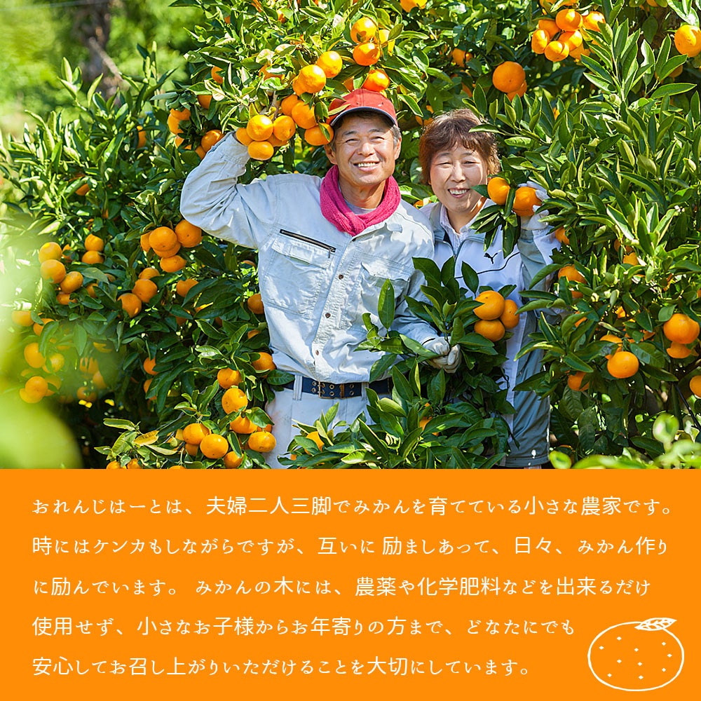 ＜せとか 家庭用 約2kg＞ 柑橘 みかん ミカン 蜜柑 果物 くだもの ジューシー 甘い なめらか フルーツ セトカ 訳あり ご自宅用 国産 大トロ 愛媛産 特産品 おれんじはーと 西宇和 愛媛県 西予市