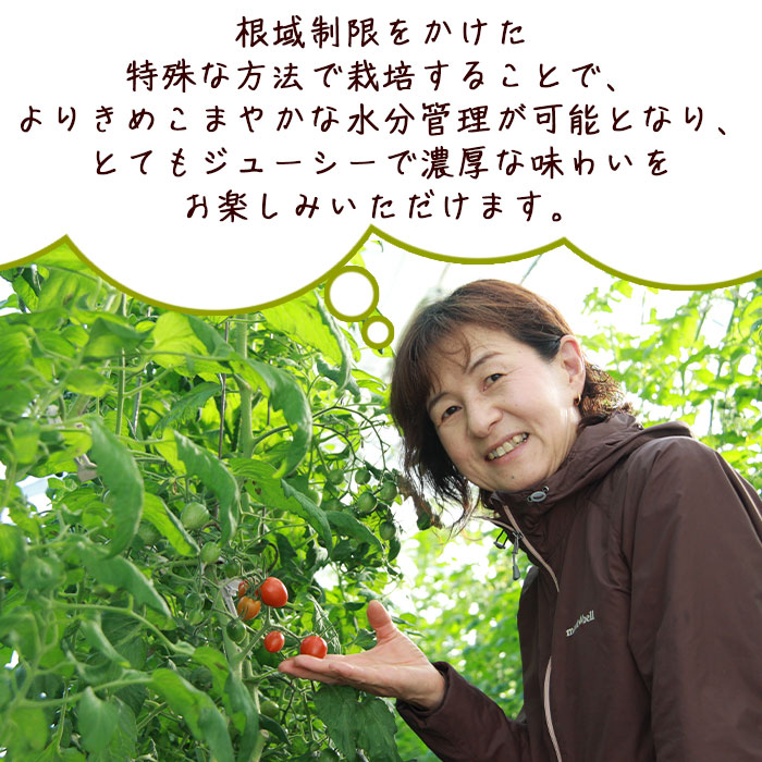 ＜「うるるんトマト」約1kg（250g×4パック×1箱） 甘くて濃厚な味わい＞ 野菜 とまと ミニトマト 特産品 食べて応援 くまさん農園 愛媛県 西予市