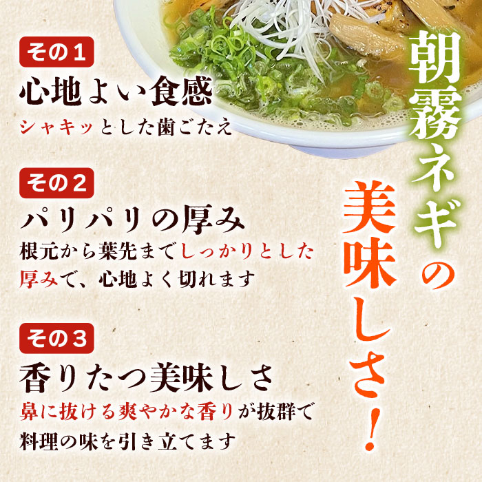＜愛媛県西予市産 朝霧ネギ 約2kg（80g入り×25袋）＞ 根無し 西予市産 愛媛県産 国産 野菜 やさい 青葱 青ネギ 青ねぎ 葉ネギ 葱 ねぎ 特産品 株式会社ノムランド 愛媛県 西予市