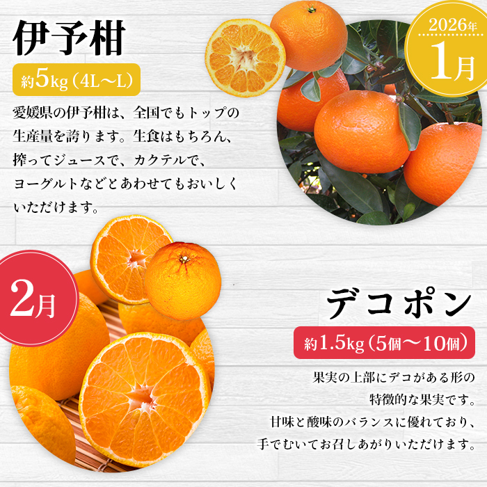 ＜2025年11月発送開始 えひめかんきつ定期便 全6回＞ 果物 フルーツ みかん ミカン 蜜柑 柑橘 日の丸みかん 紅まどんな 伊予柑 いよかん デコポン せとか 河内晩柑 愛媛県 西予市