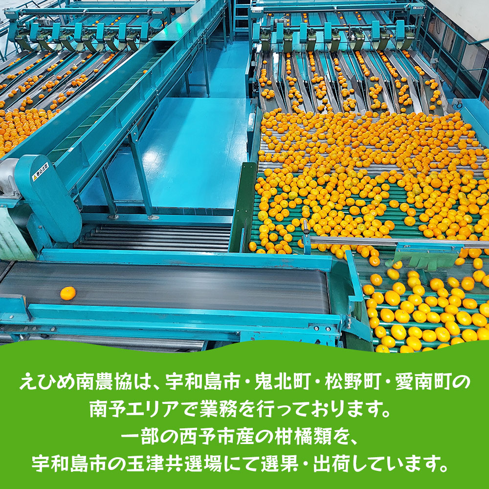 ＜温州みかん（早生）約10kg＞ 果物 フルーツ みかん ミカン オレンジ 柑橘 特産品 JA えひめ南農業協同組合 愛媛県 西予市