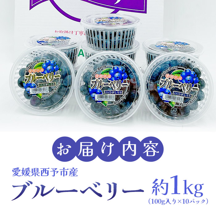 ＜愛媛県西予市産 ブルーベリー 約1kg（100g入り×10パック）＞ ぶるーべりー 果実 果物 生 くだもの フルーツ 国産 小分け ジャム スムージー 株式会社フジ・アグリフーズ 愛媛県 西予市【冷蔵】
