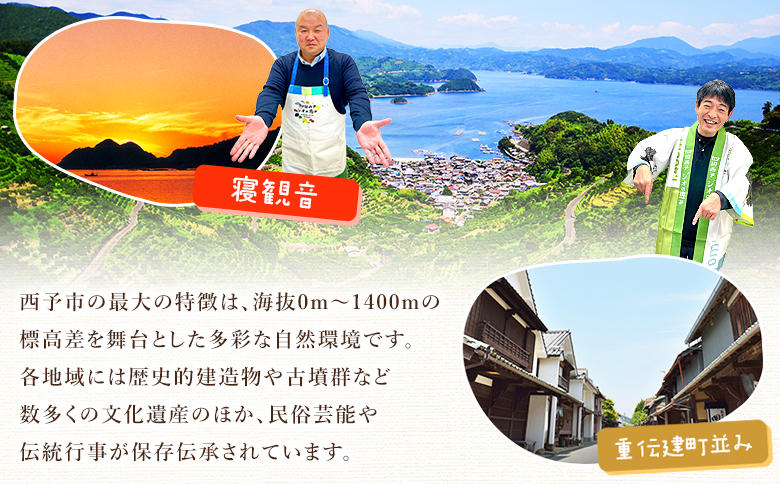 ＜訳あり 愛媛県産富士柿 合計約3.5kg＞『2026年11月上旬～12月下旬迄に順次出荷予定』かき 柿 ふじ柿 果物 くだもの フルーツ 旬 大玉 大きいサイズ 濃厚 秋の味覚 食べ応え抜群 特産品 株式会社OSN 愛媛県 西予市 【常温】