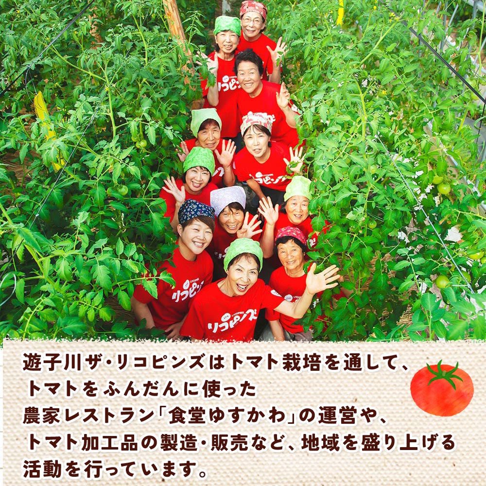 ＜桃太郎トマトの収穫体験（食堂ゆすかわのランチ付き）＞トマト収穫 体験 収穫 利用券 チケット 1名 1人 ランチ付き 桃太郎トマト トマト 持ち帰り 特産品 遊子川ザ・リコピンズ 愛媛県 西予市