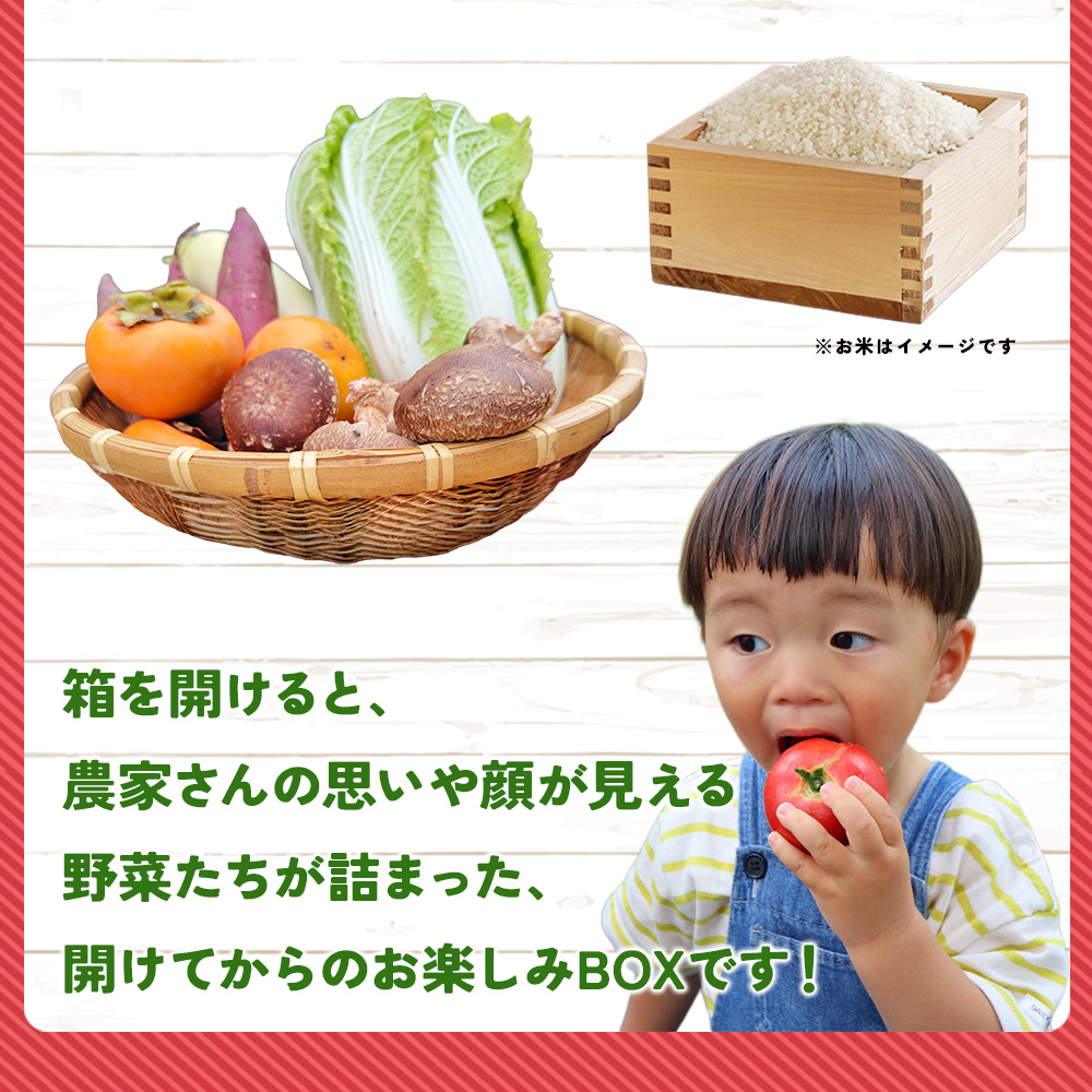 ＜旬の採れたて野菜が詰まったお楽しみBOX（3か月ごと年4回の定期便）＞ 西予市遊子川産 農家さんの顔が見える野菜 定期便 野菜 食べて応援 特産品 遊子川ザ・リコピンズ 愛媛県 西予市