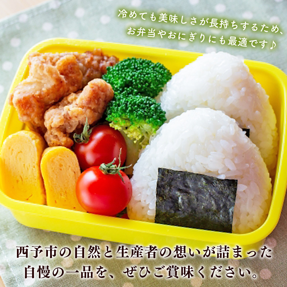 ＜にじのきらめき 約5kg＞ 5キロ ニジノキラメキ 米 お米 コメ こめ 白米 精米 やや大粒 ご飯 ライス 穀物 特産品 愛媛県産 西予市産 宇和町産 ファームNINOMIYA 愛媛県 西予市