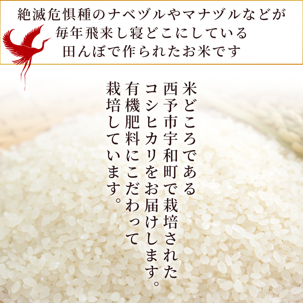 ＜令和7年産 コシヒカリ「つるの寝どこまい」約10kg 西予市宇和町産＞ 2025年産 こしひかり お米 コメ こめ 白米 精米 ご飯 ごはん 穀物 ライス SDGs 共生 楠 健明 愛媛県 西予市