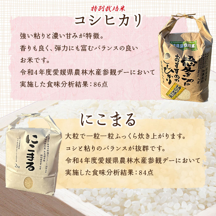 ＜令和6年産 西予市宇和町産 特別栽培米コシヒカリ・にこまる 食べ比べセット 合計4kg（各2kg）＞ お米 コメ 白米 精米 ご飯 ライス 穀物 こしひかり 晩稲 大粒 特産品 三好フク 愛媛県 西予市