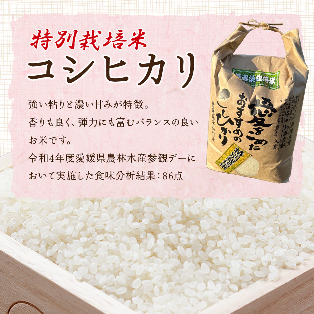 ＜令和7年産 西予市宇和町産 特別栽培米コシヒカリ 5kg＞ お米 コメ こめ 白米 精米 ご飯 白飯 ごはん ライス 穀物 こしひかり コシヒカリ 朝食 低農薬 特産品 愛媛県産 西予市産 宇和町産 三好フク 愛媛県 西予市
