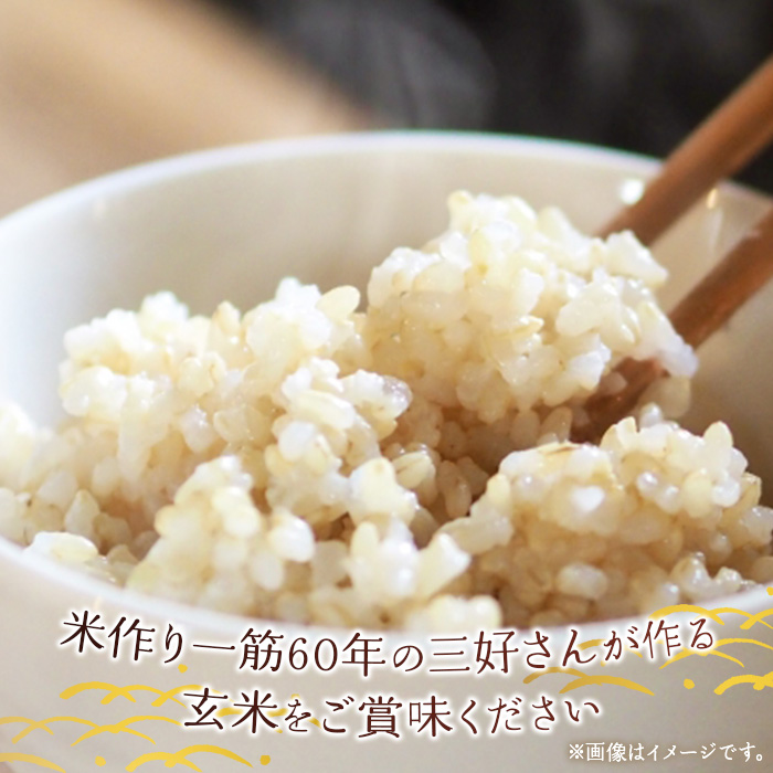 ＜令和6年産 西予市宇和町産 玄米 30kg＞ お米 コメ ご飯 ライス 穀物 こしひかり コシヒカリ にこまる 晩稲 大粒 特産品 三好フク 愛媛県 西予市